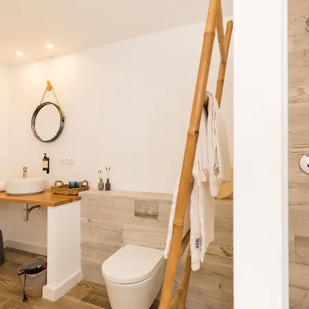 Pardela Menorca Es Castell (Menorca)